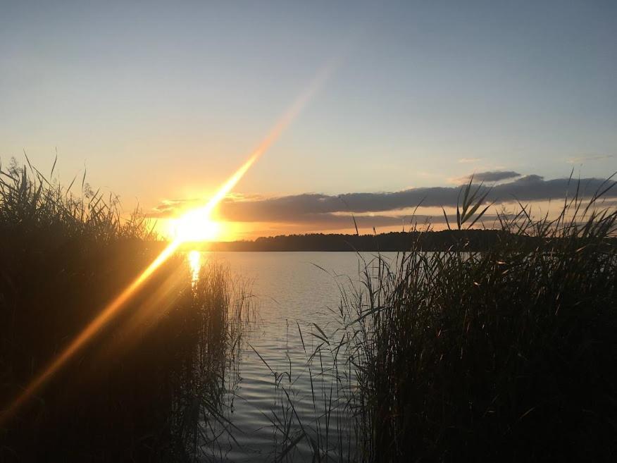 Ferienwohnung Am See Wochowsee Εξωτερικό φωτογραφία